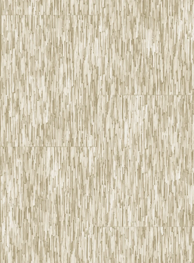 VP_715_02.jpg