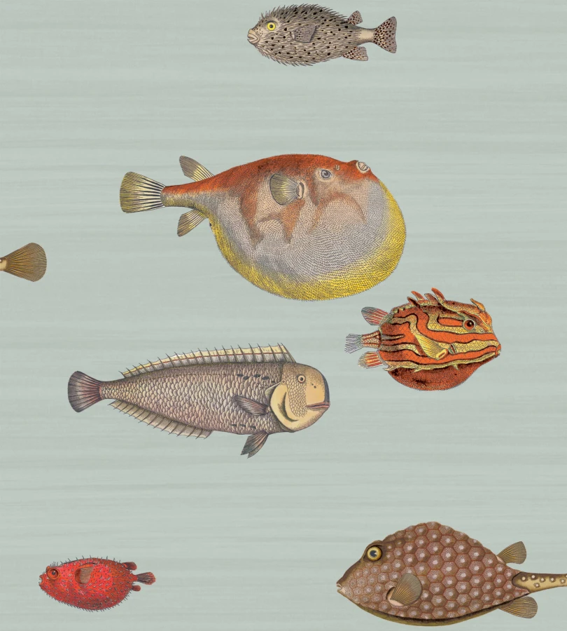 C&S_Fornasetti Senza Tempo_Aquario 97-10030_RGB.jpg