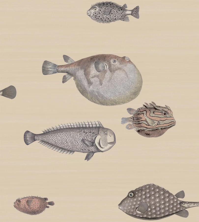 C&S_Fornasetti Senza Tempo_Aquario 114-16033_RGB.jpg