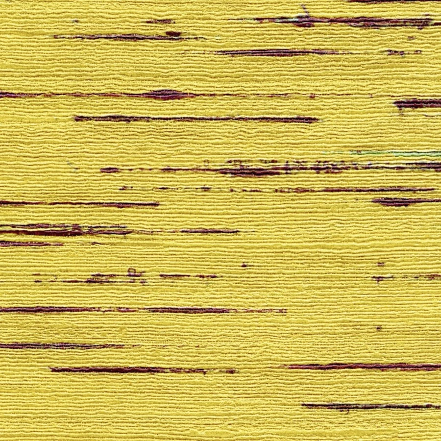Tapeta Elitis Talamone Indiana | VP 851 04