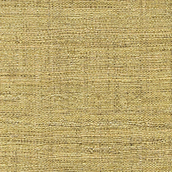 Tapeta Elitis Madagascar métal | VP 602 02