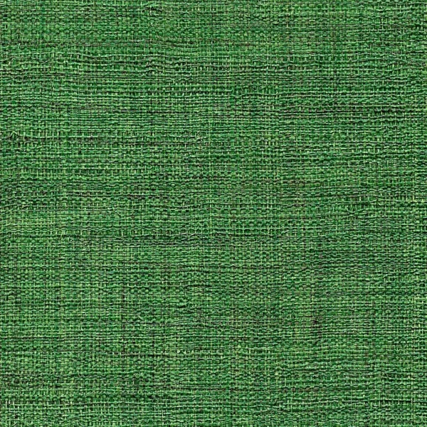 Tapeta Elitis Madagascar | VP 631 45