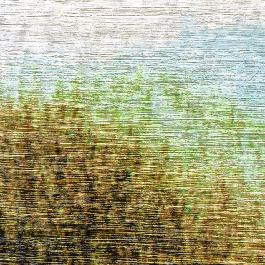 Tapeta Elitis Eldorado Sauvage | VP 892 01 PANEL 3 x 3m