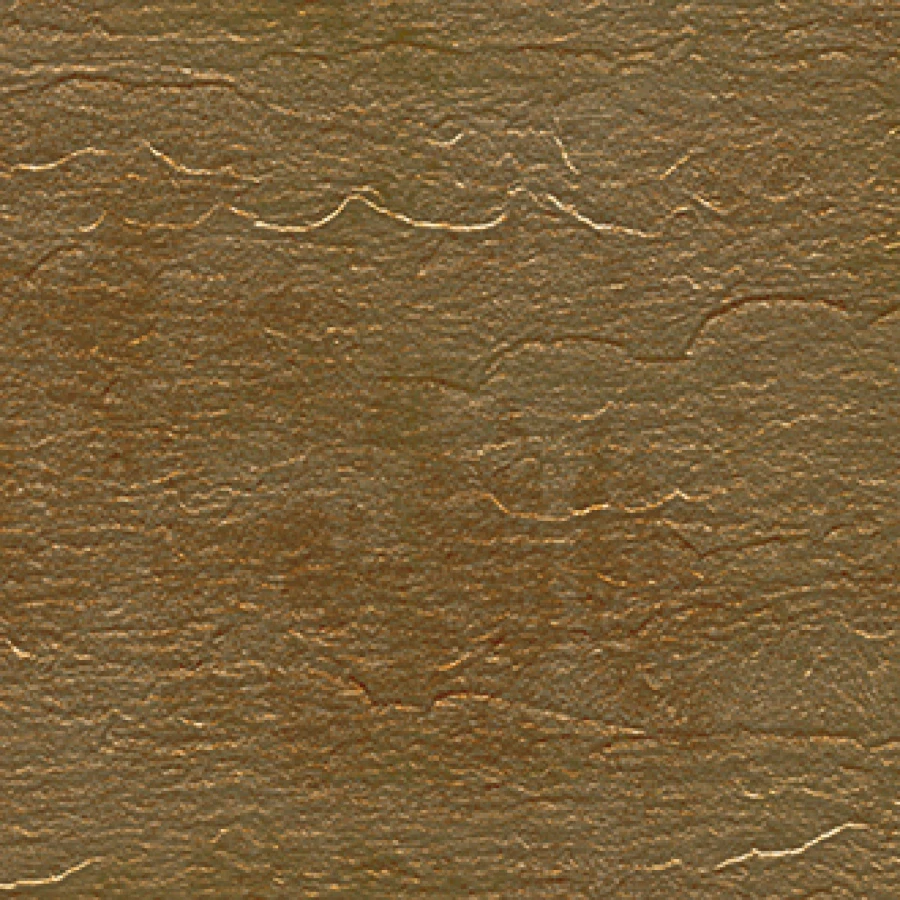 VP 870 04.jpg