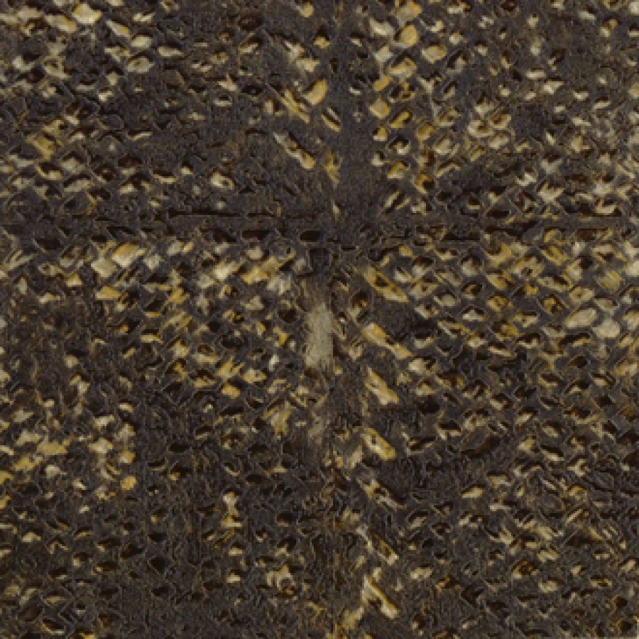 mural-natural-mood-munt-muco-muvp-laca-salvaje-natural-mood-vp-916-18-298fdea8a8e2f8d54fcc06029328.jpg
