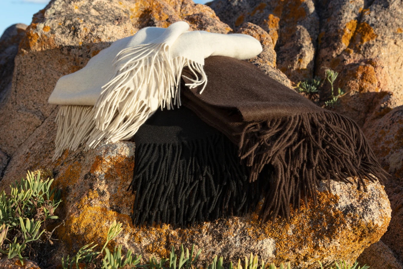 f1819_throw_nomad_yak_1024_a_107_106_117_l.jpg
