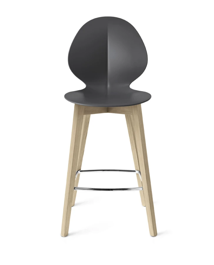 Basil_cs1495_P19W_P16_front.jpg