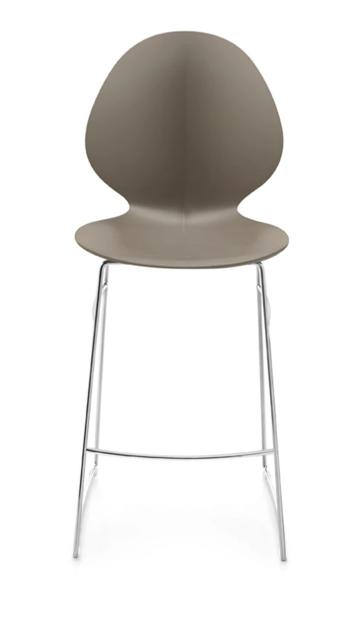 Basil_cs1354_P77_P900_front.jpg