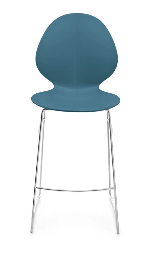 Basil_cs1354_P77_27P_front.jpg