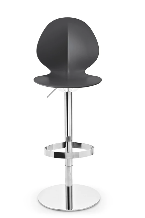 Basil_cs1356_P77_P16_front.jpg