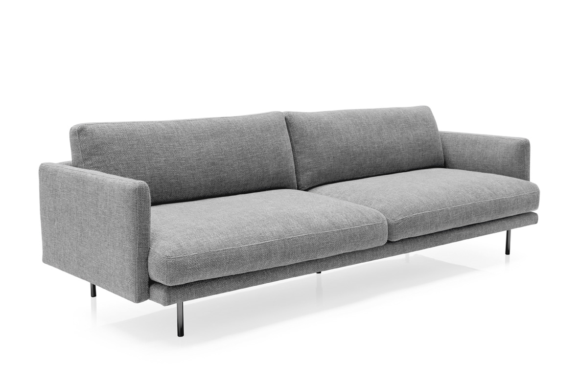 Mies_cs3398_SVD_01.jpg