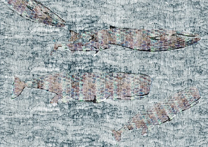 WDVM1601.jpg