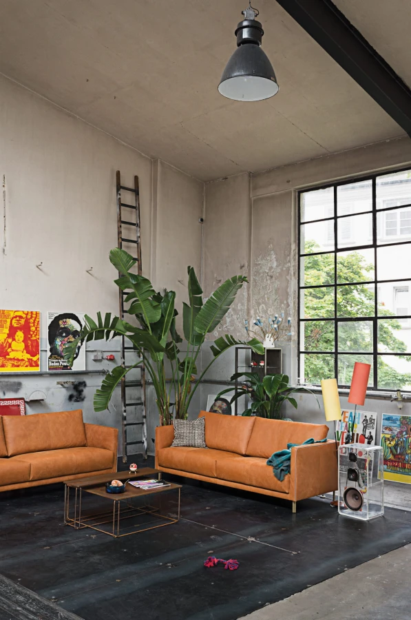 Sofa freistil 133 Rolf Benz