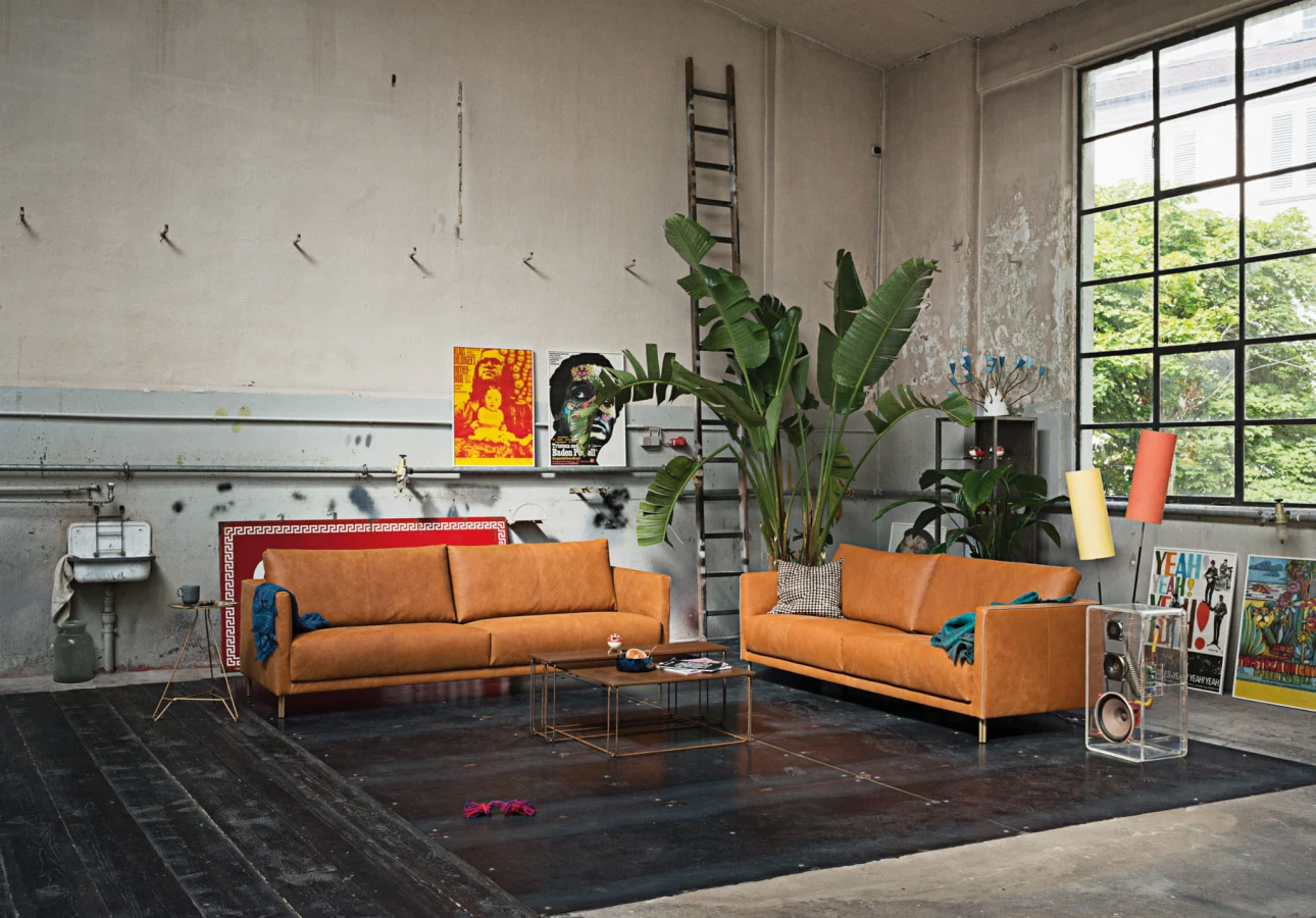 Sofa freistil 133 Rolf Benz