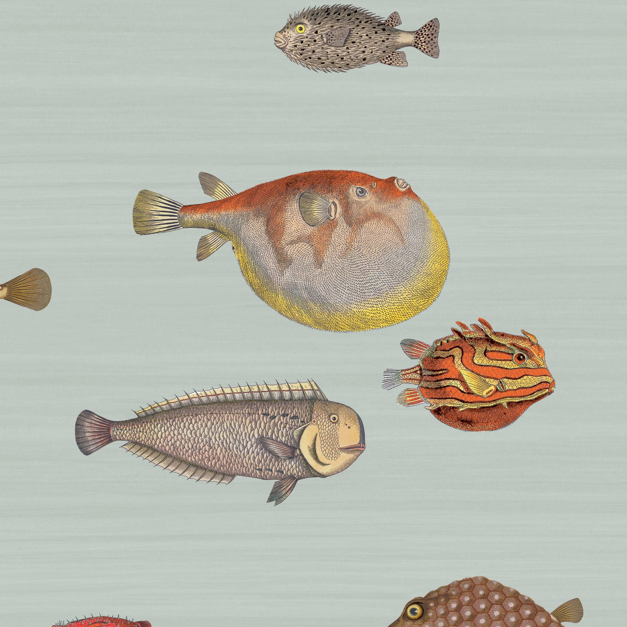 Tapeta Cole&Son Fornasetti Senza Tempo Acquario 97/10030