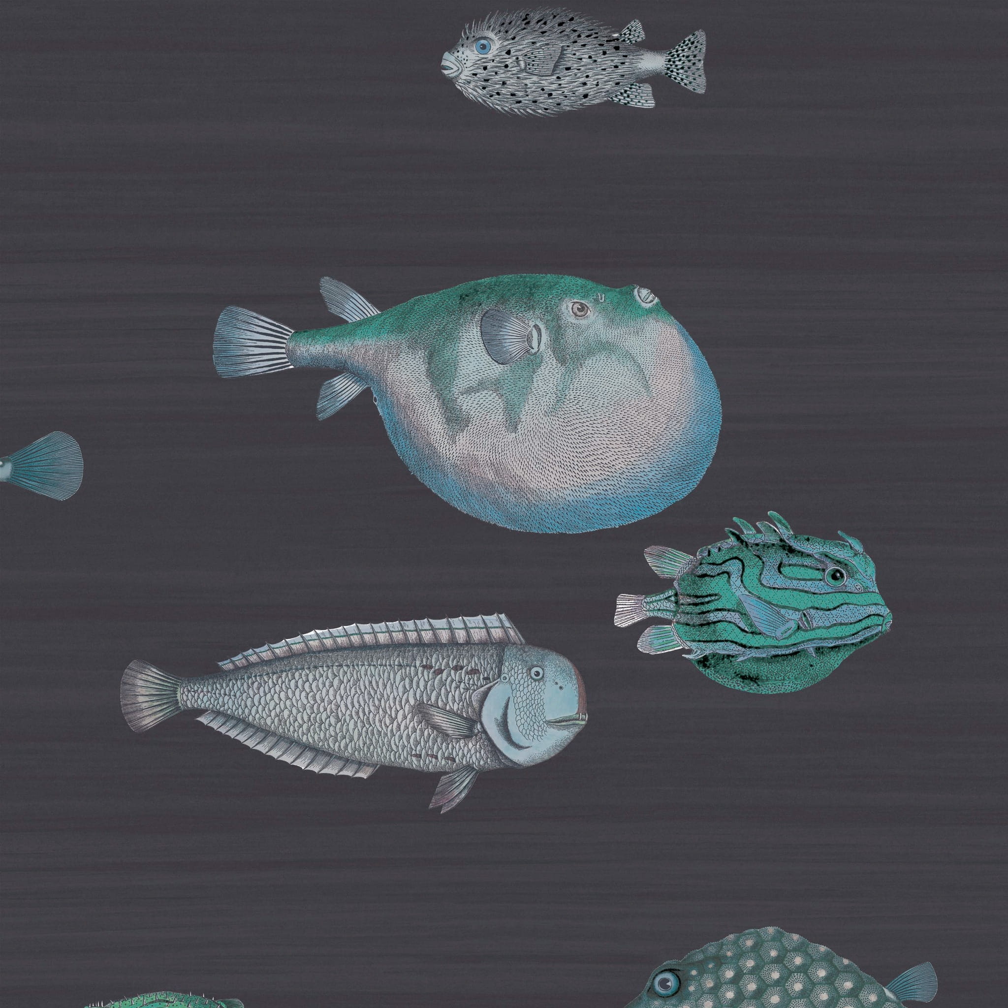 Tapeta Cole&Son Fornasetti Senza Tempo Acquario 114/16032