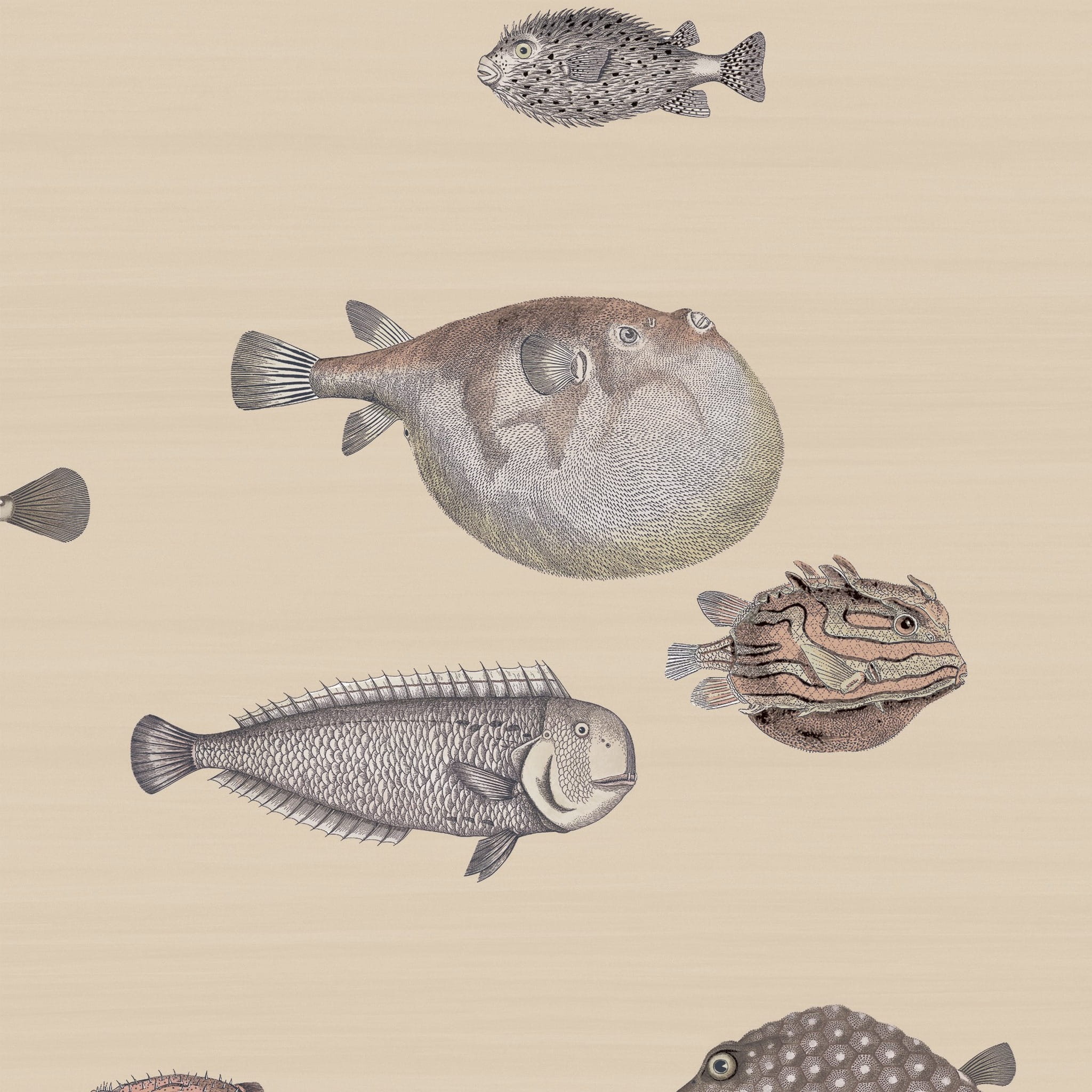 Cole&Son Fornasetti Senza Tempo Acquario 114/16033