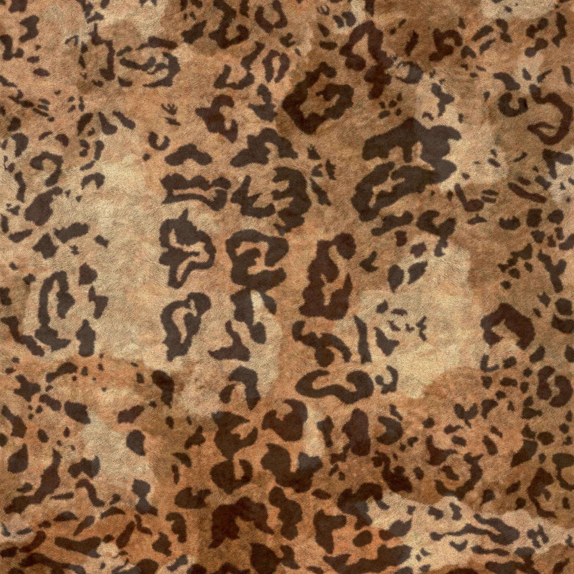 panoramique-sauvages-leopard-vp-969-01-40993152d2b94380db6d494f61c2.jpg
