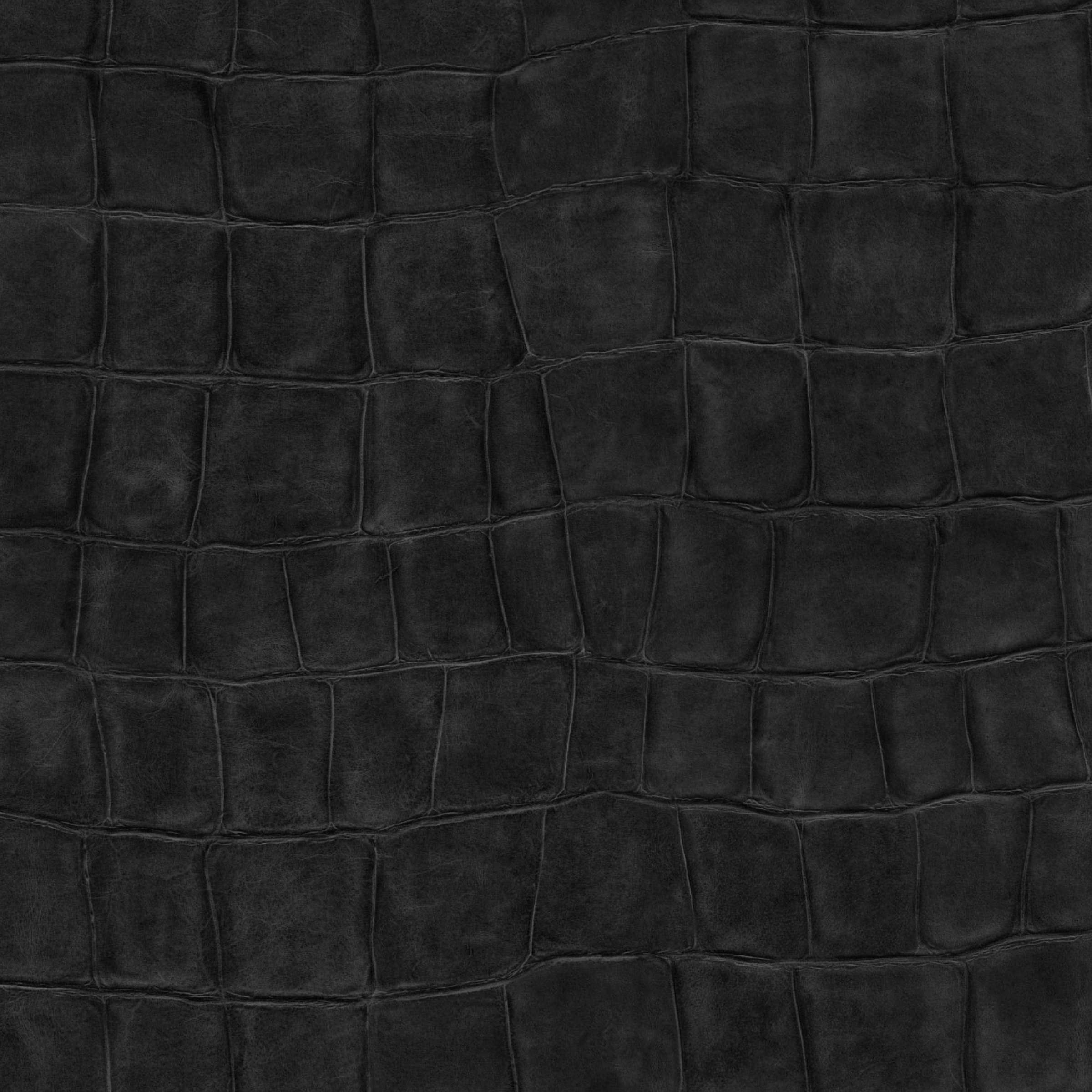 mural-anguille-big-croco-legend-munt-muco-muvp-vp-423-06-27bf5978835507602027b2ffbf.jpg