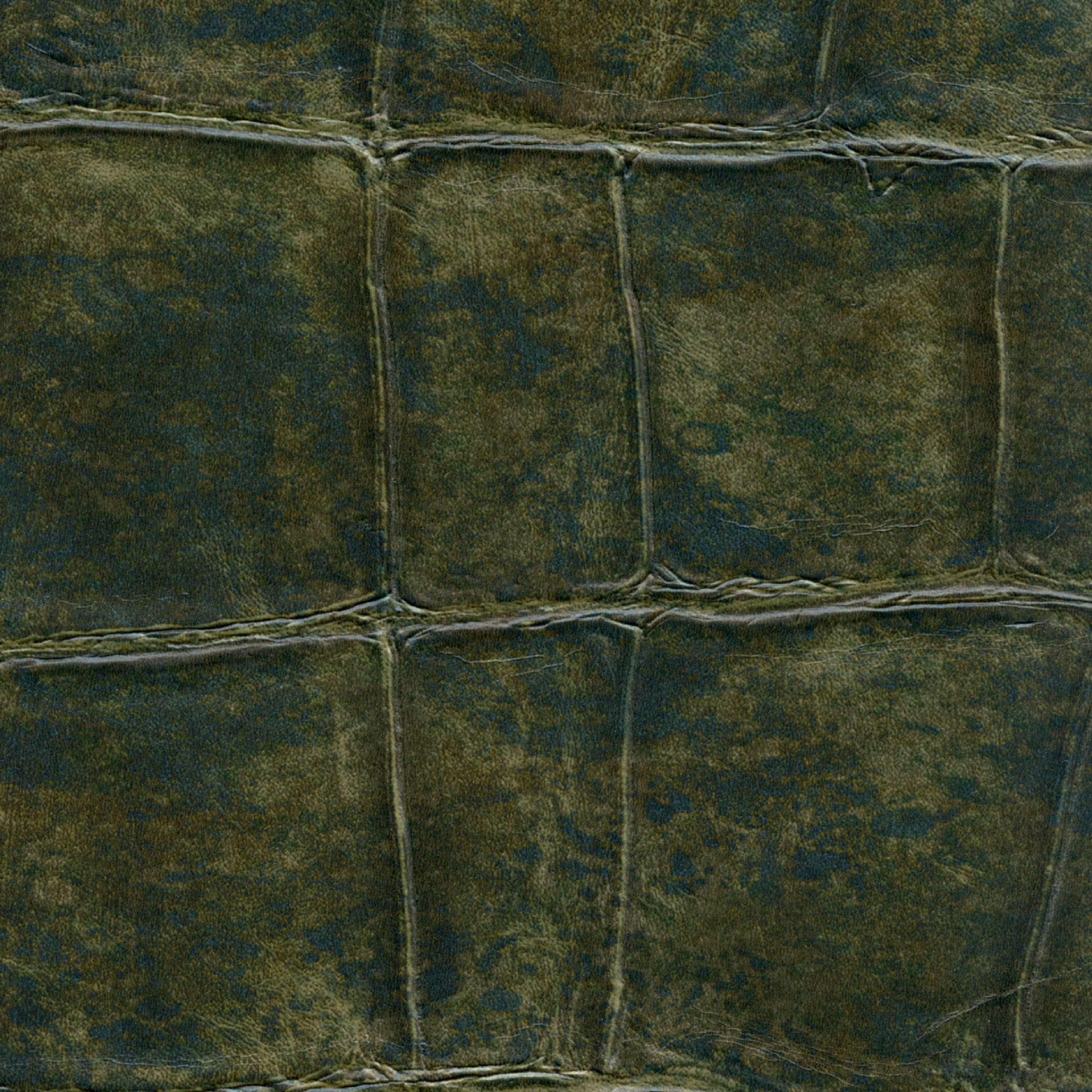 mural-anguille-big-croco-legend-munt-muco-muvp-big-croco-anguille-big-croco-legend-vp-426-09-5969e4fb2cb06d8c9205a392b4a6.jpg