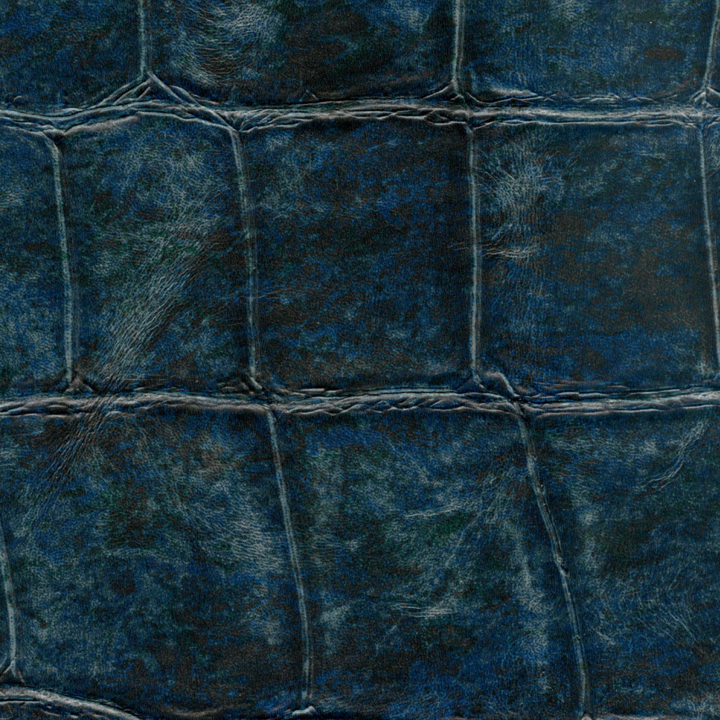 mural-anguille-big-croco-legend-munt-muco-muvp-big-croco-anguille-big-croco-legend-vp-426-10-7245ef53437e1860980d11302e4e.jpg