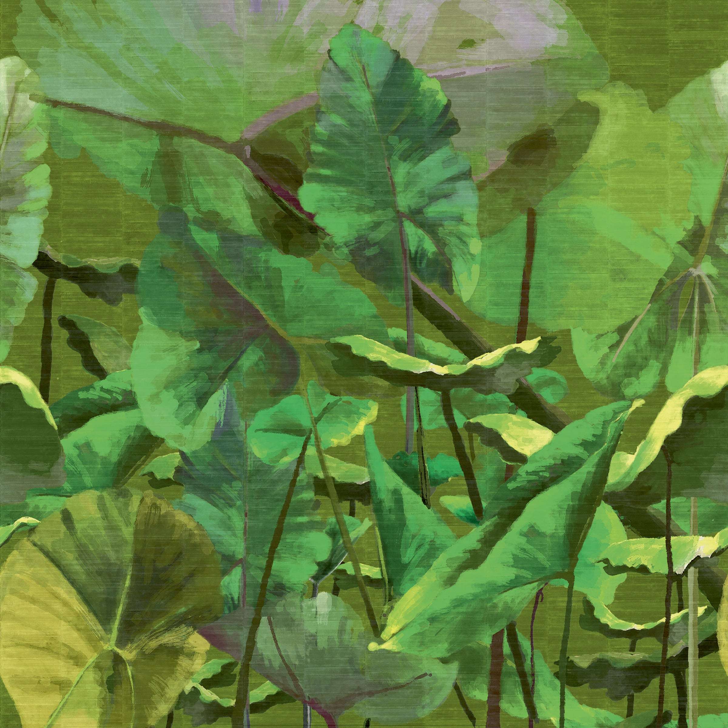 mural-anguille-big-croco-legend-munt-muco-muvp-lost-in-plantation-anguille-big-croco-legend-vp-429-01-a0b92c5c7573eca2fc934d5daf60.jpg