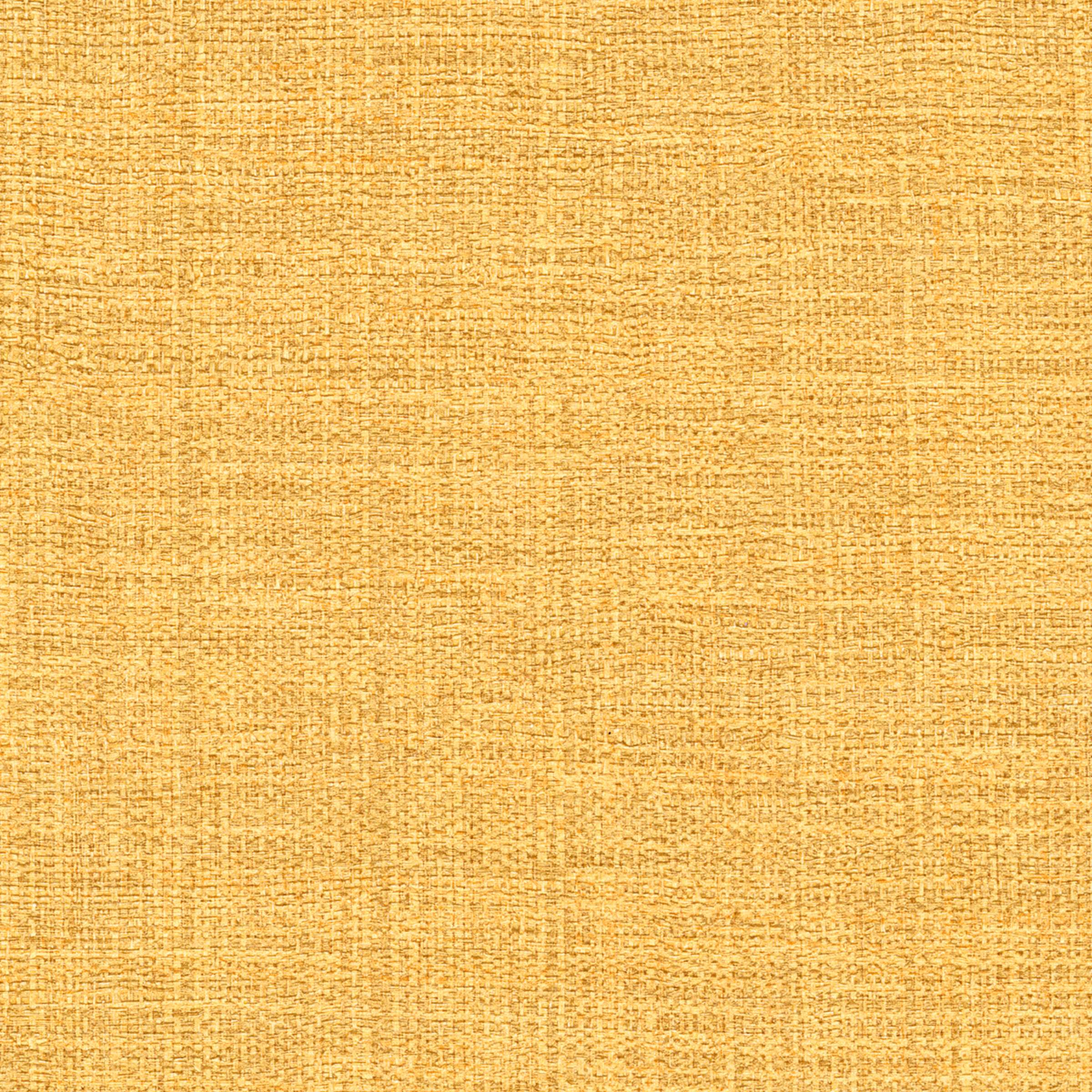 mural-magascar-arrowroot-raw-raffia1-magascar-raffia-magascar-vp-731-22-6272ee18e481e07a8e136c4b4a79.jpg