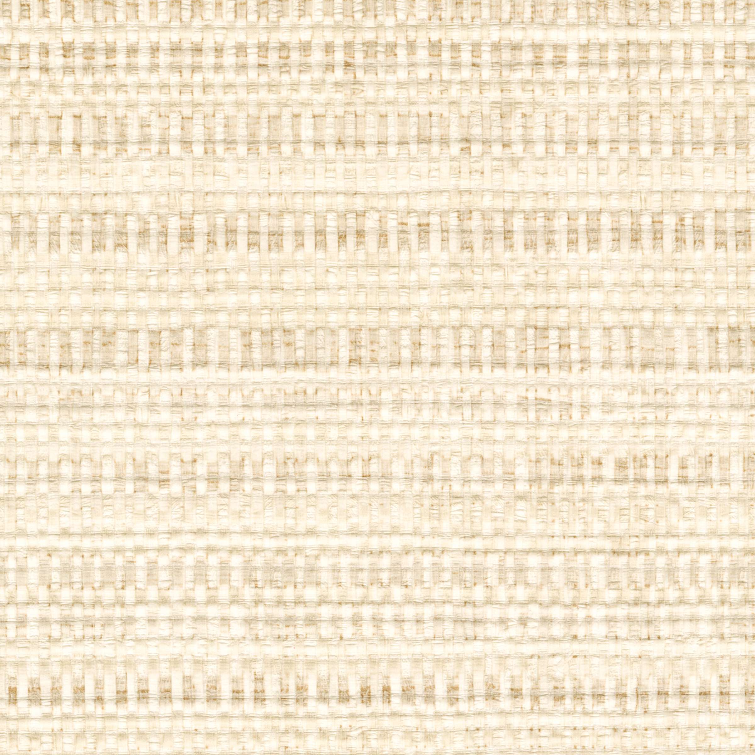 mural-magascar-arrowroot-raw-raffia1-raffia-ii-vp-1048-02-2284e2ee2fd67bb0f5452d1f7bec.jpg