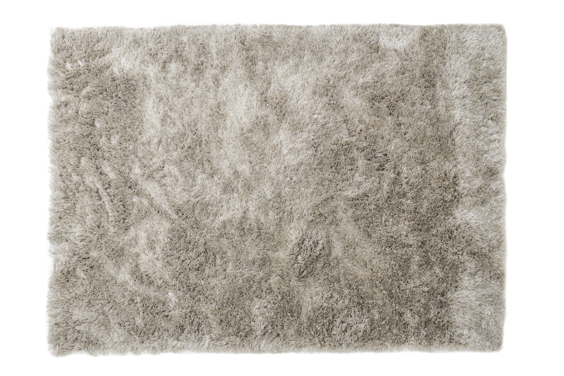 SG_Northern_Soul_lily_white_draufsicht_1920.jpg